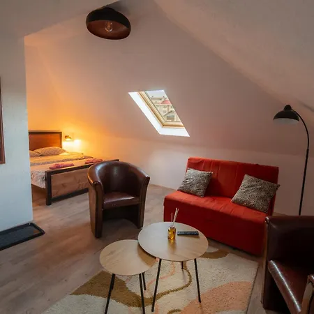 ゲストハウス Pansion Nana Aleksandrovac