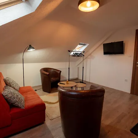 Pansion Nana 3* Aleksandrovac